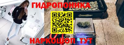 ешки Чапаевск