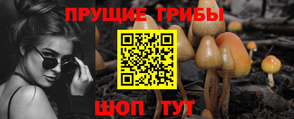 Галлюциногенные грибы Psilocybine cubensis  Вход с VPN  Гай 