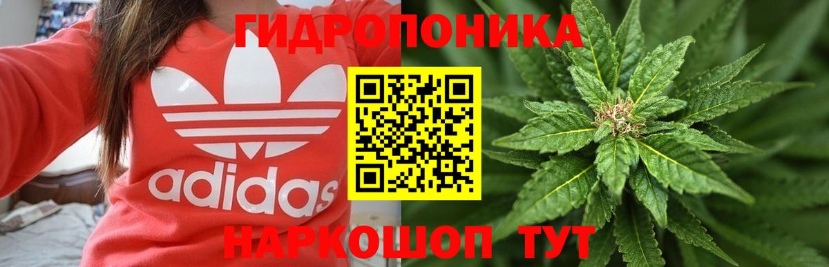 МАРИХУАНА гибрид Гай